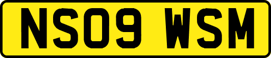 NS09WSM