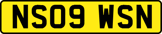 NS09WSN