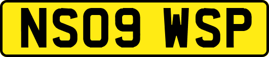 NS09WSP