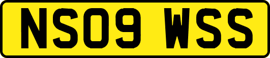 NS09WSS