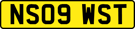 NS09WST