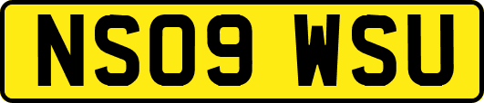 NS09WSU