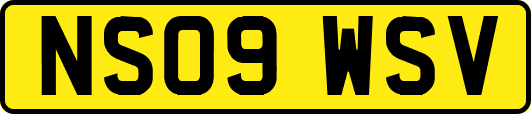 NS09WSV