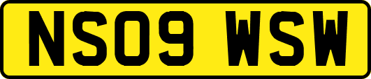NS09WSW