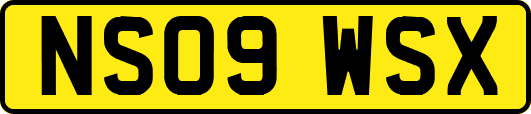 NS09WSX