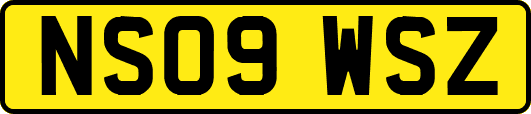 NS09WSZ