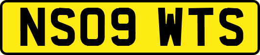 NS09WTS