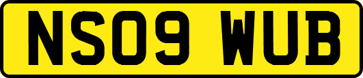 NS09WUB