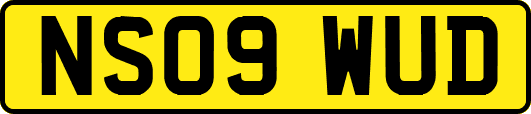 NS09WUD