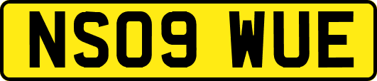 NS09WUE