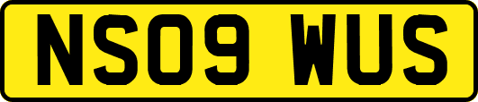 NS09WUS