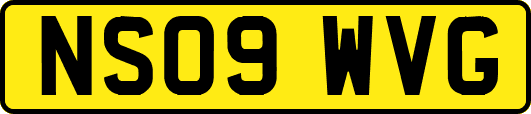 NS09WVG