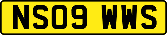 NS09WWS