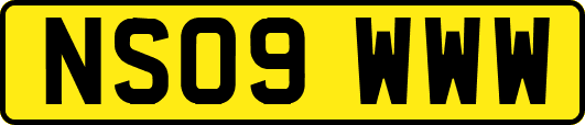 NS09WWW