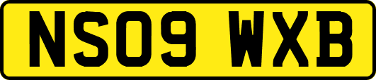 NS09WXB