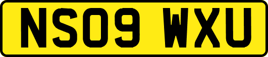 NS09WXU