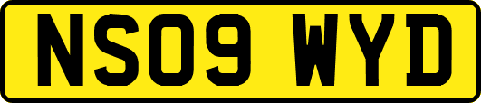 NS09WYD