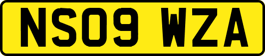 NS09WZA