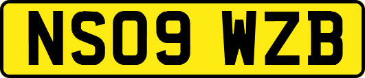 NS09WZB