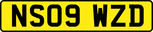 NS09WZD