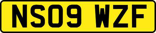 NS09WZF