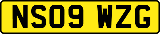 NS09WZG