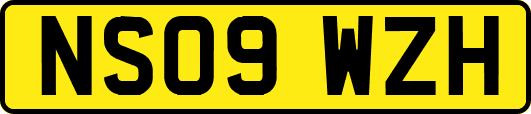NS09WZH