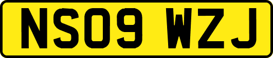 NS09WZJ