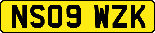 NS09WZK