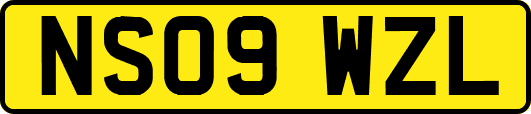 NS09WZL