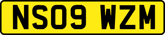 NS09WZM