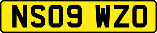 NS09WZO