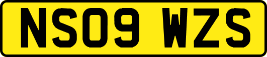 NS09WZS