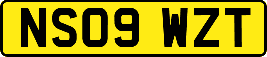NS09WZT