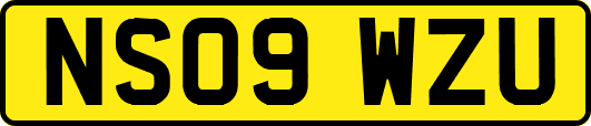 NS09WZU