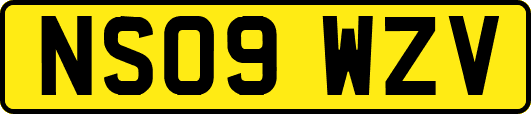 NS09WZV