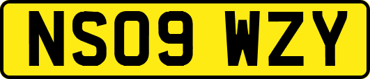 NS09WZY