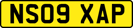 NS09XAP