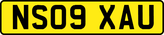 NS09XAU