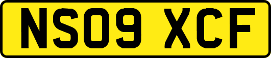NS09XCF