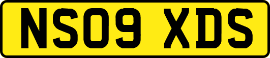 NS09XDS