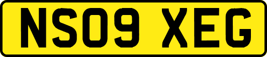 NS09XEG