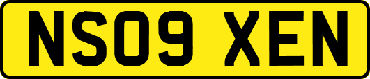 NS09XEN