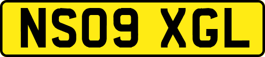 NS09XGL
