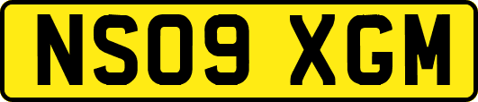 NS09XGM