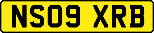 NS09XRB