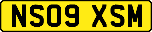NS09XSM