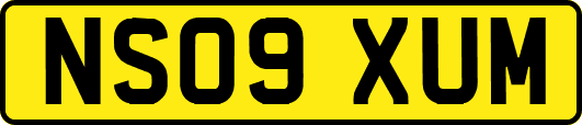 NS09XUM