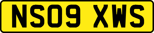 NS09XWS