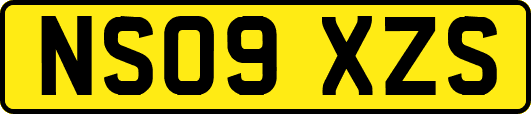 NS09XZS